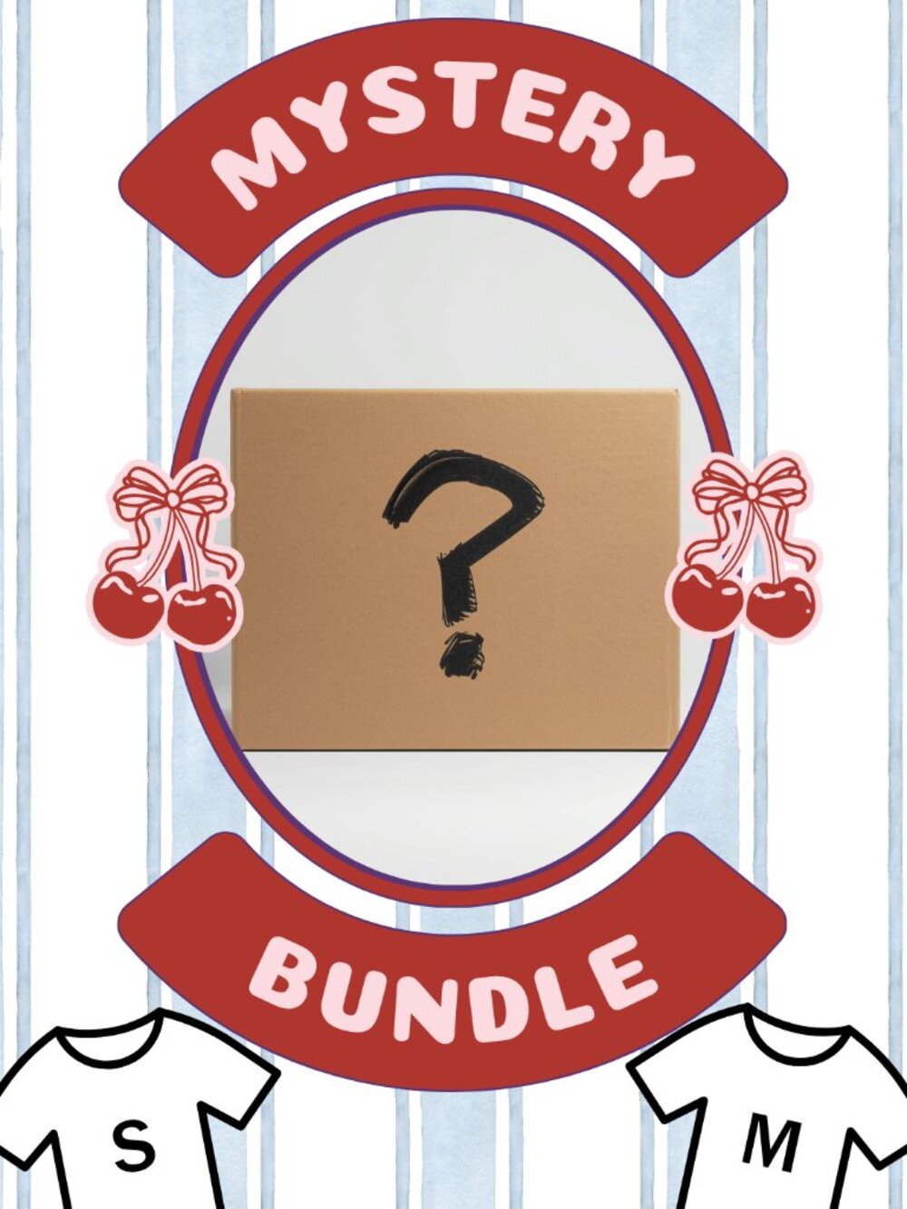 Mystery Box Bundle Perfect for Resellers Curated Clothing Bundle Classic